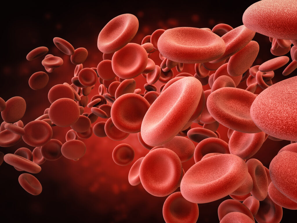 group of red blood cells in a blood vessel
